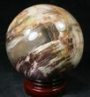 Colorful Petrified Wood Sphere #20600-1